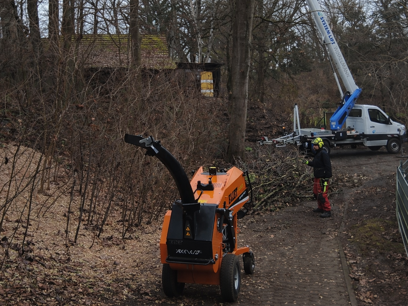 Baumpflege mit Häcksler und Hebebühne