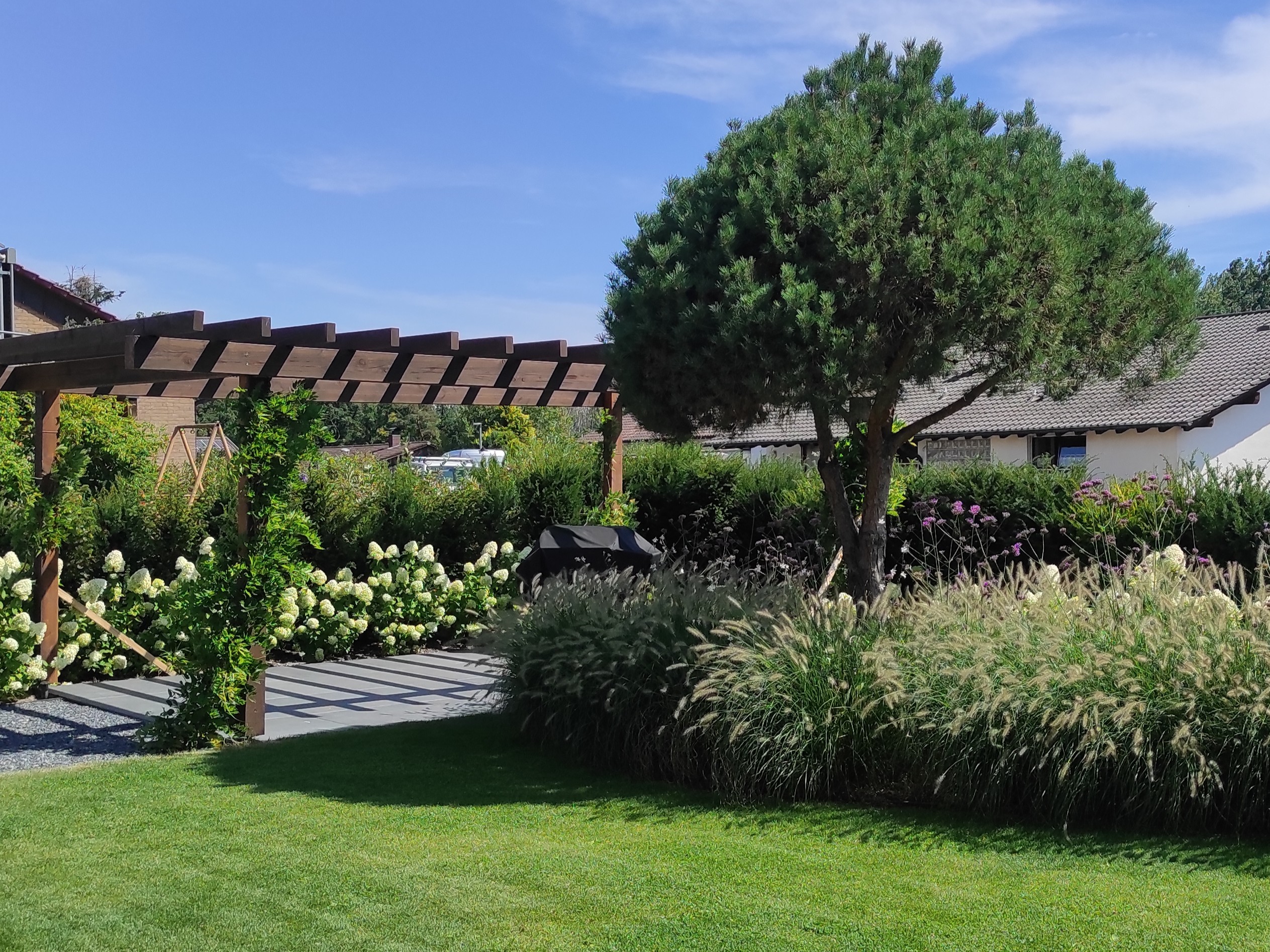 Sitzplatz unter Pergola mit großer Kiefer und weißen Hortensien